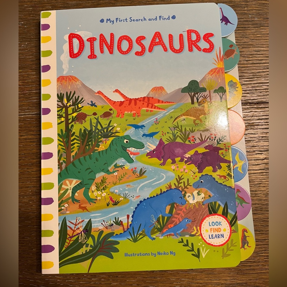 Dinosaur Seek and Find Book